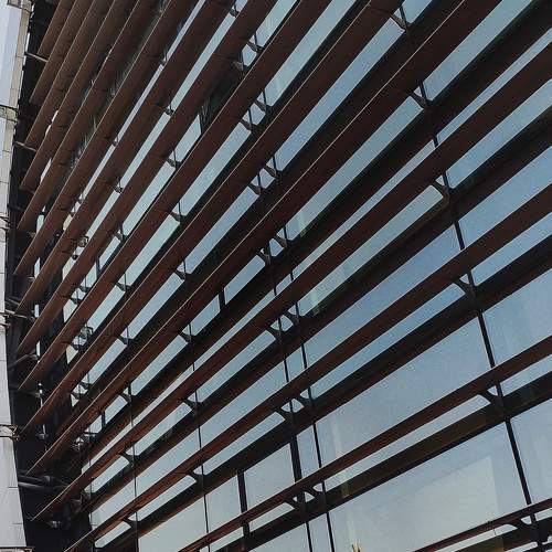 Photo #8105460