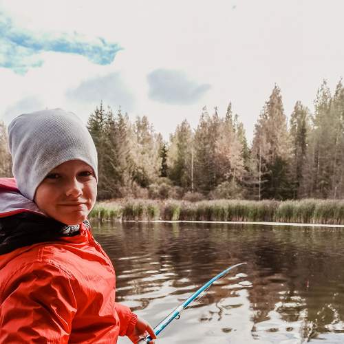 Photo #8105520