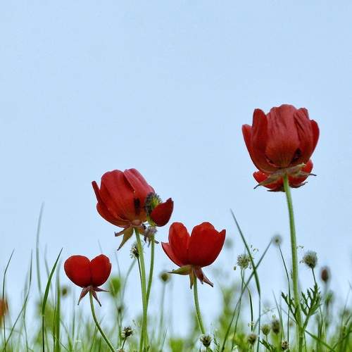 Photo #8105537