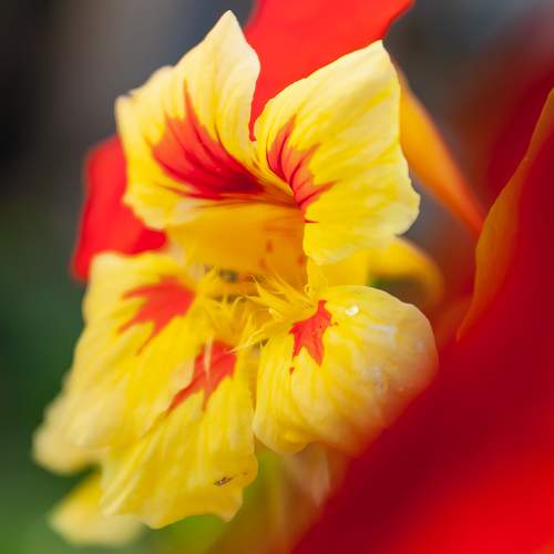 Photo #8105577