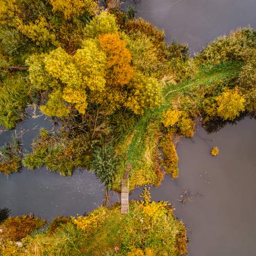 Photo #8105782