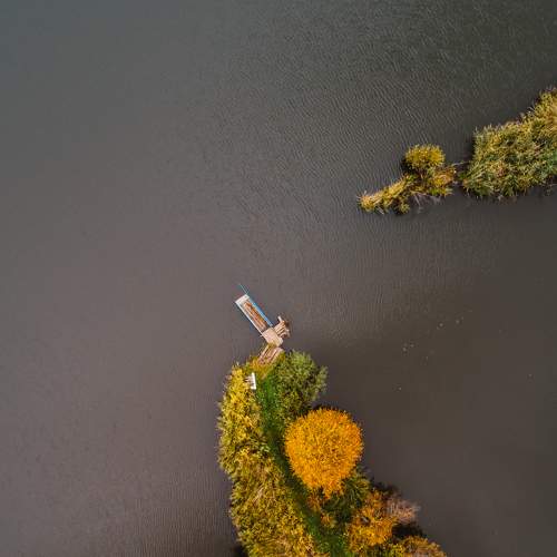 Photo #8105785
