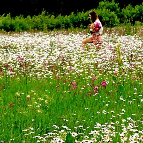 Photo #8106404