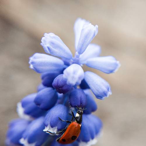Photo #8106413