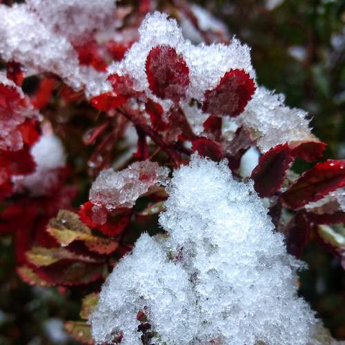 Photo #8106816