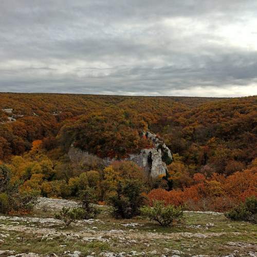 Photo #8106978