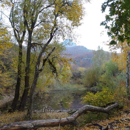 Photo #8107031