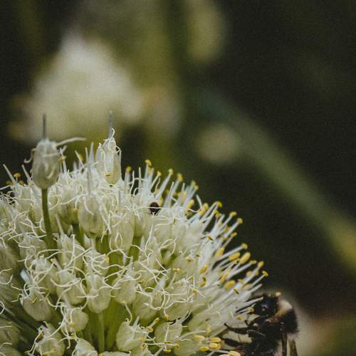 Photo #8107795