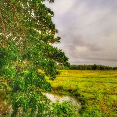 Photo #8107920