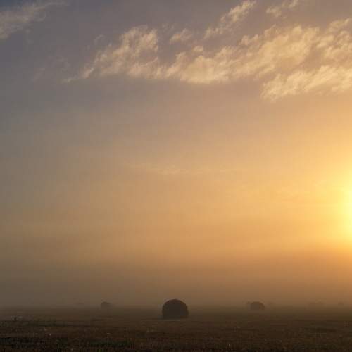 Photo #8108500
