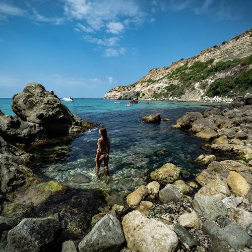 Photo #8108860