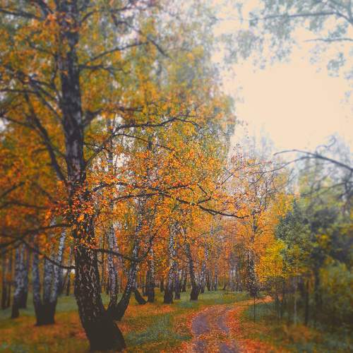 Photo #8109467