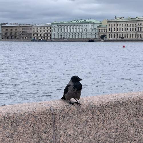 Photo #8109543