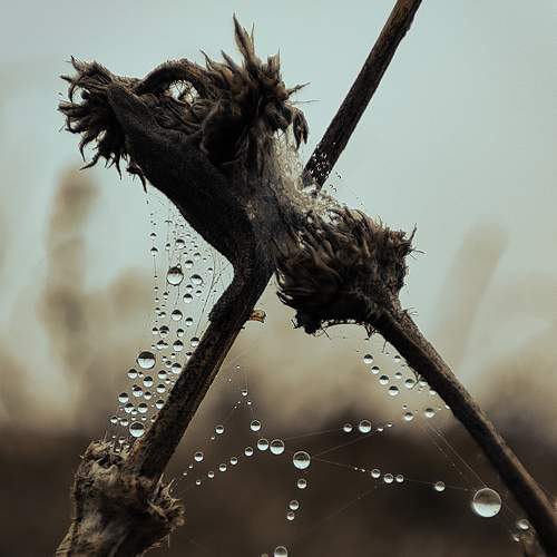 Photo #8109719