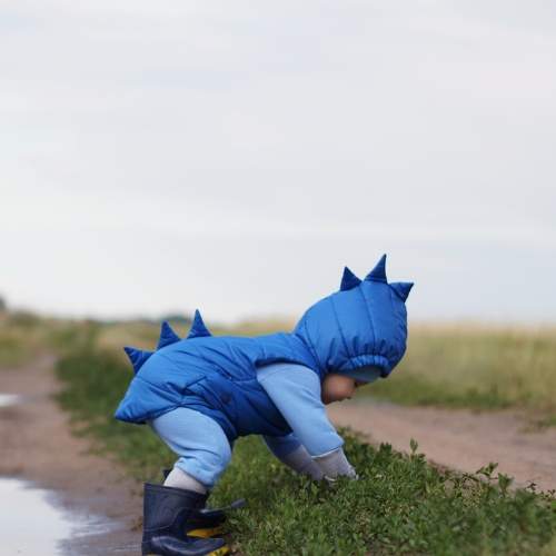 Photo #8109753