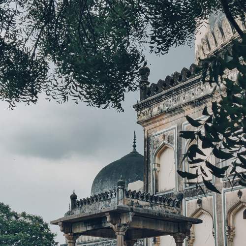 Photo #8109844