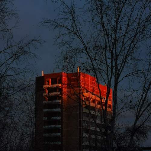 Photo #8109954