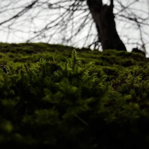 Photo #8110162