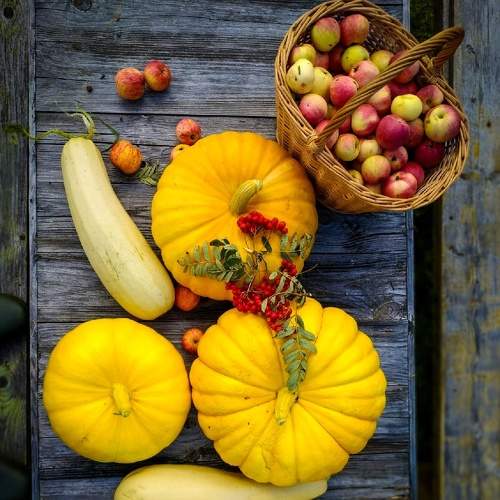 Photo #8110578