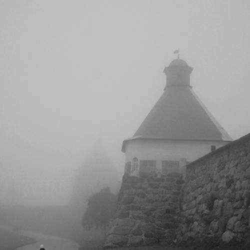 Photo #8111042