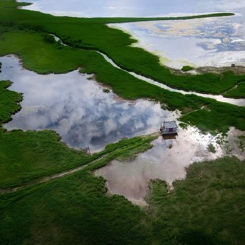 Photo #8111234