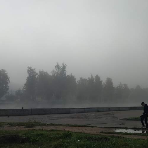 Photo #8111643
