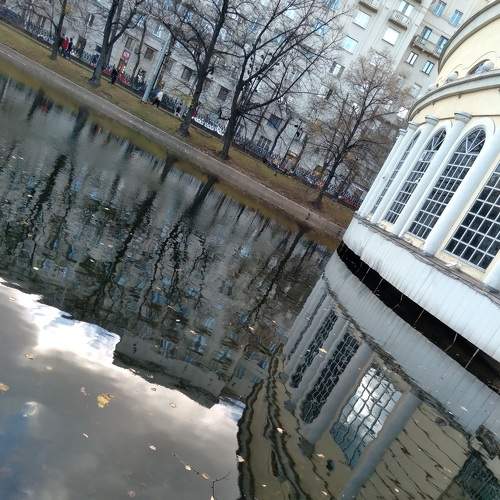 Photo #8111724