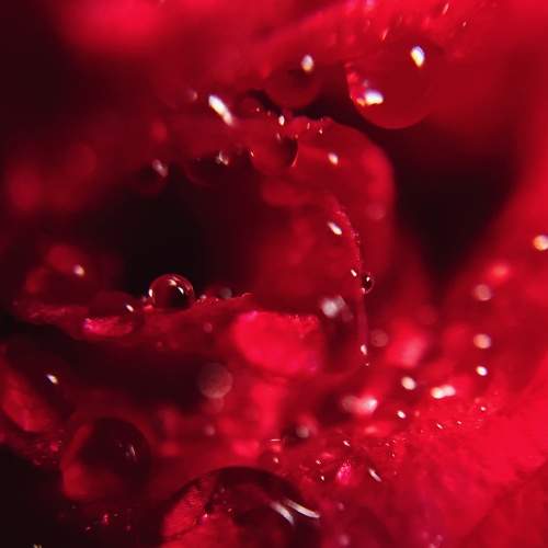 Photo #8111989