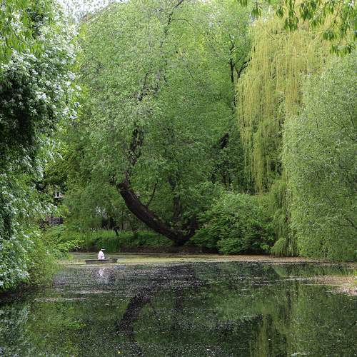 Весны прекрасные мгновенья! Beautiful moments of spring!