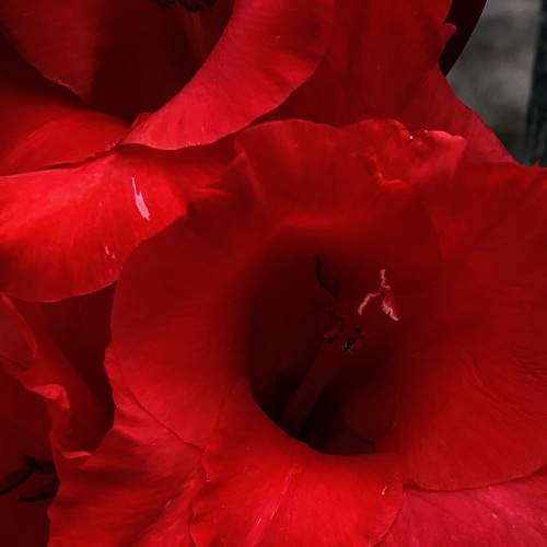 Photo #8112475