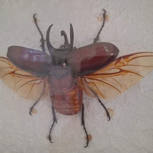 Photo #8112489