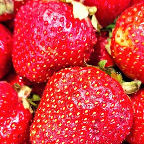 Photo #8112616