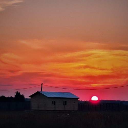 Photo #8112617