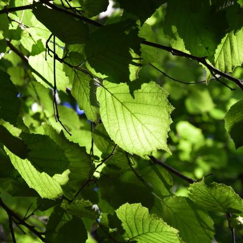 Photo #8112648