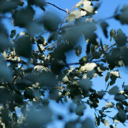 Photo #8112758
