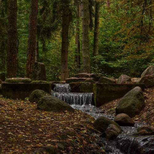 Photo #8113001