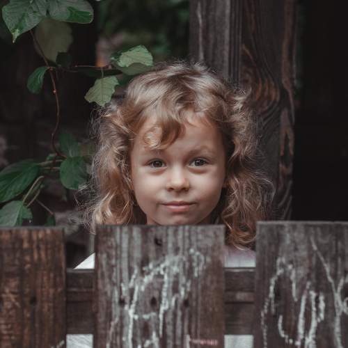 Photo #8113064