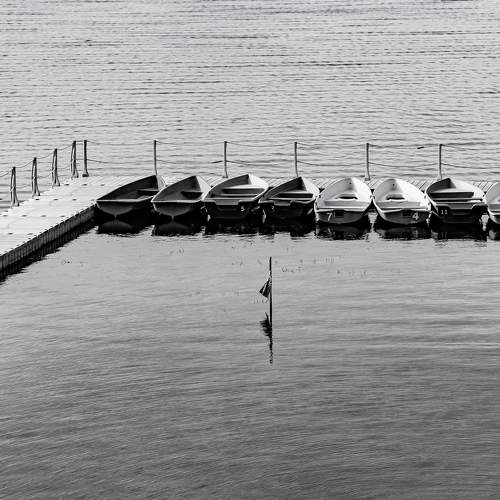 Photo #8113655
