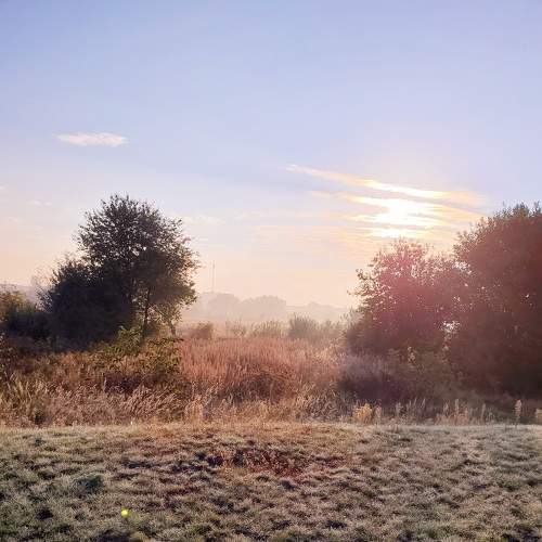 Photo #8113835