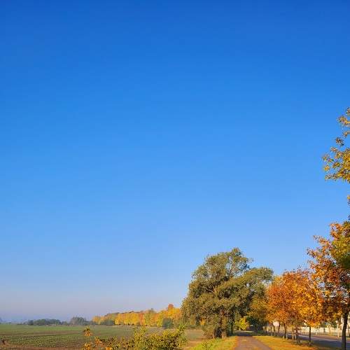 Photo #8113838