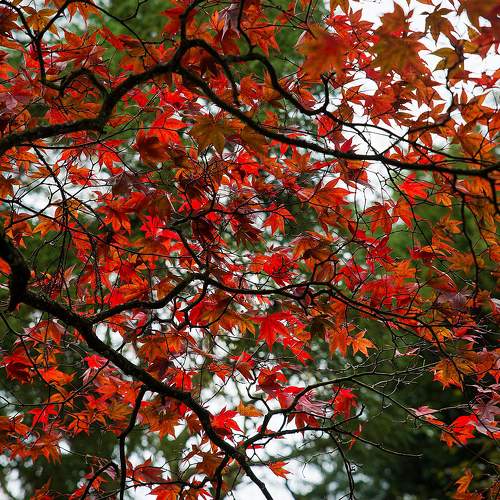 Photo #8113947