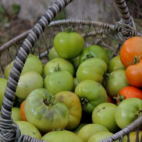 Photo #8114258