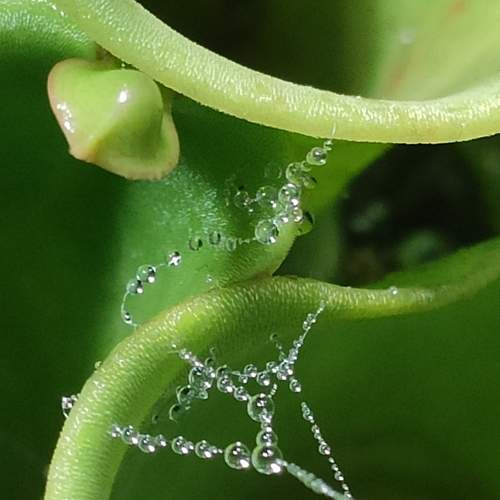 Photo #8114424