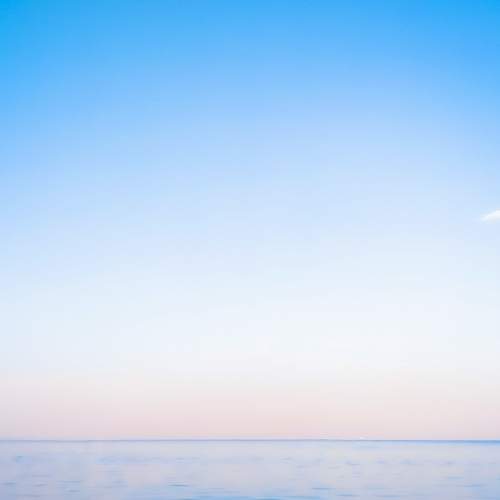 Photo #8114624