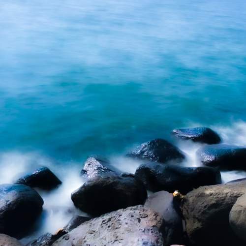 Photo #8114625