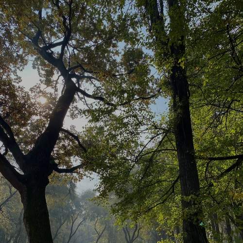 Photo #8115042