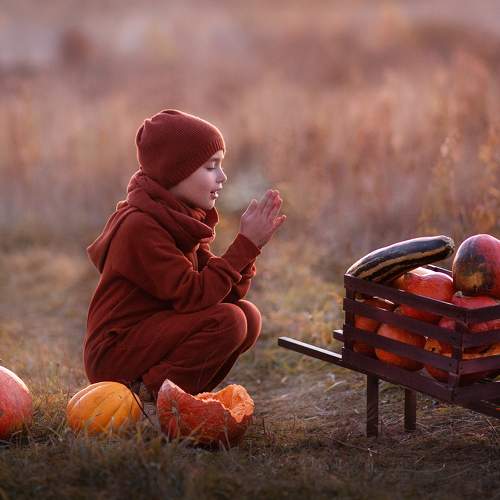 Photo #8115051