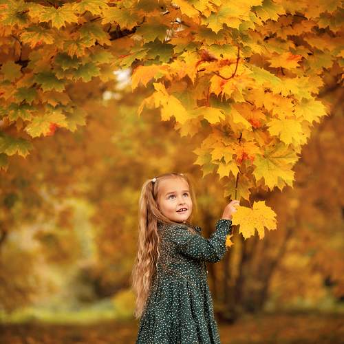 Photo #8115064