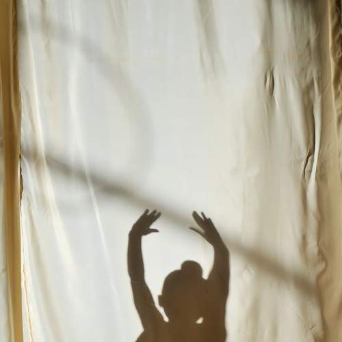 Photo #8115087