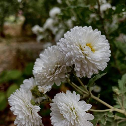 Photo #8115264